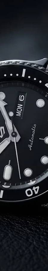 Seiko SRPD65K1 — vista 2